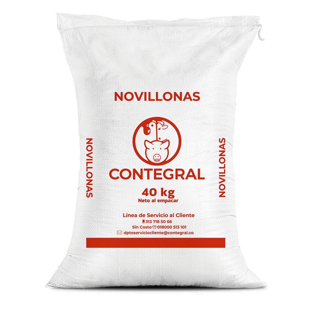Novillonas