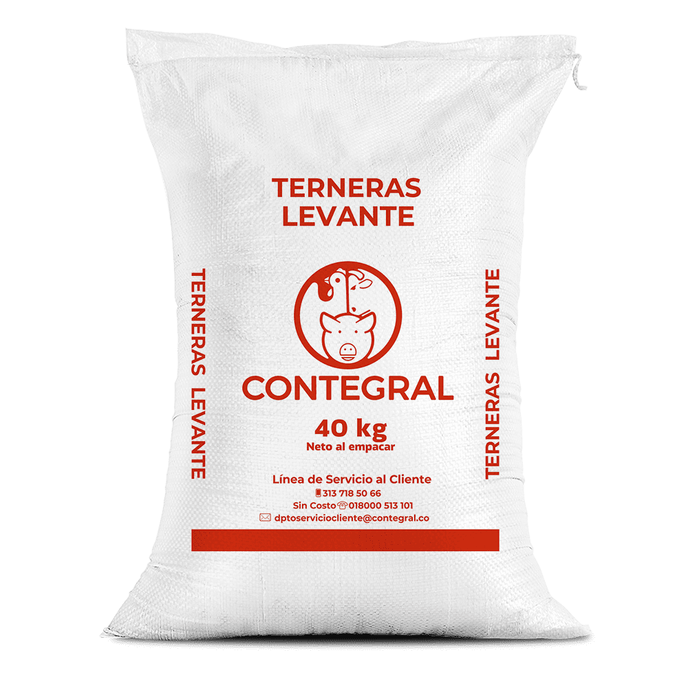 Terneras levante