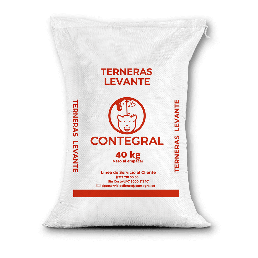 Terneras levante